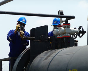 cenit-7