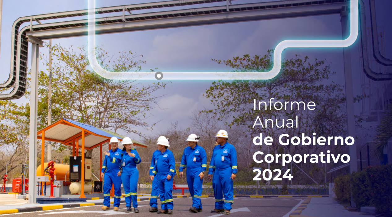 Informe Anual de Gobierno Corporativo 2023
